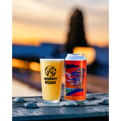 Verre 33cl